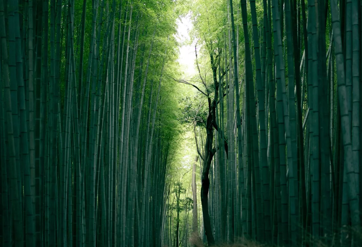 Japan-Merging Yourself into the Spiritual World