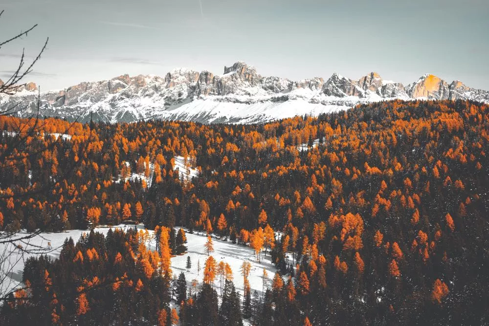 Majestic Dolomiti Mountains Daylight View, Italy, South Tyrol