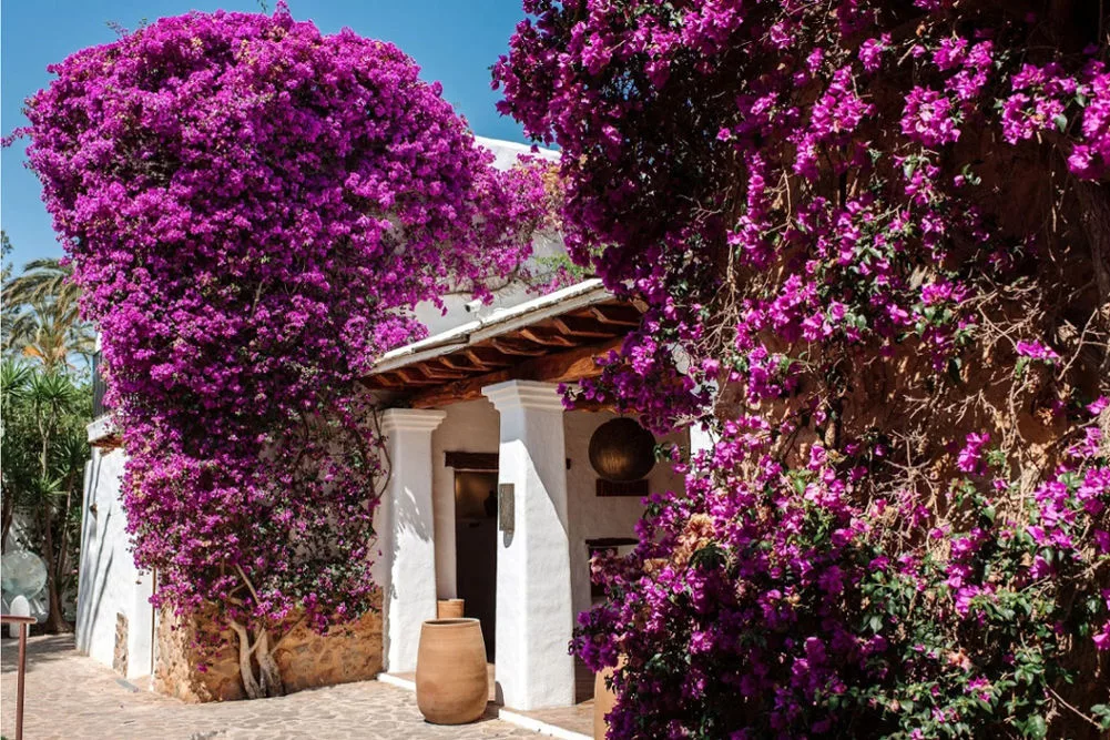 Sustainable accommodations in Ibiza: Atzaro